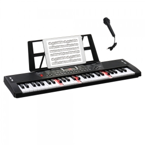 Glarry GEP-201 54-Key Portable Electronic Piano Keyboard w/LCD Screen, Microphone - Glarrymusic